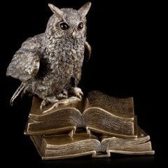 Kitap Üstünde Bronz Baykuş