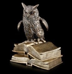 Kitap Üstünde Bronz Baykuş