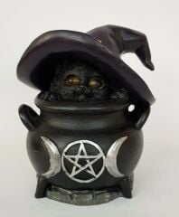 Kara Kedi Biblo (Işıklı)