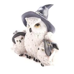 Baykuş Ailesi Biblo