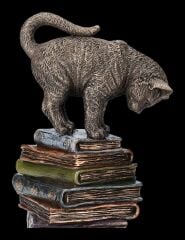 Veronese Bilgin Kedier Biblosu (Feline scholars)