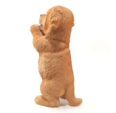 Köpek Biblo