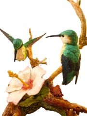 Sinek kuşları ve çiçek biblosu