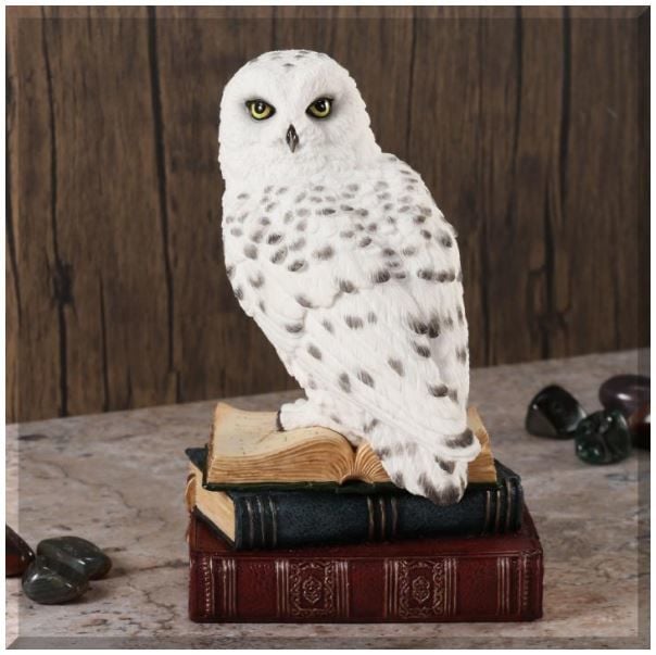 Veronese Baykuş Biblo (Hedwig)