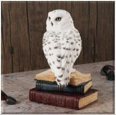 Veronese Baykuş Biblo (Hedwig)