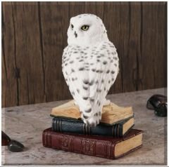 Veronese Baykuş Biblo (Hedwig)