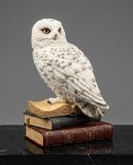 Veronese Baykuş Biblo (Hedwig)