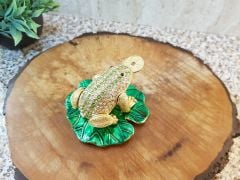 Ağzında Para Taşıyan Şans Kurbağası