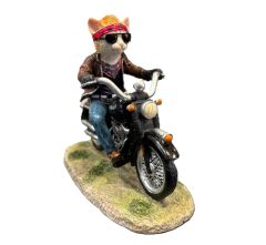 Motosikletli Kedi Biblo