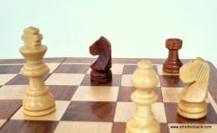 MIKNATISLI AHŞAP SATRANÇ TAKIMI