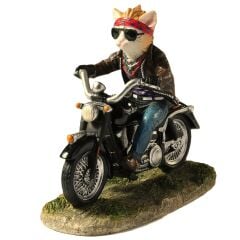 Motosikletli Kedi Biblo