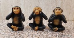 Üç Maymun Biblo