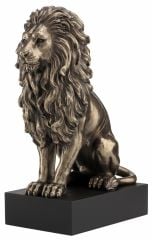 Aslan Biblo