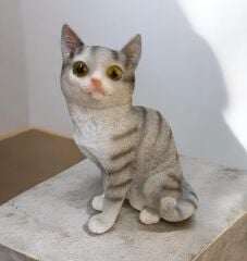 Kedi Biblo