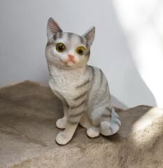 Kedi Biblo