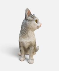 Kedi Biblo