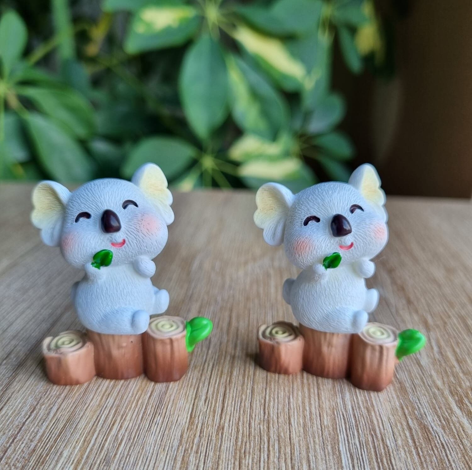2'li Minyatür Koala Biblosu