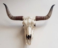 Dekoratif Buffalo Kafası