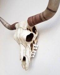 Dekoratif Buffalo Kafası