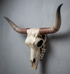 Dekoratif Buffalo Kafası