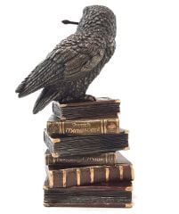 Kitap Üstünde Bronz Baykuş Hedwig