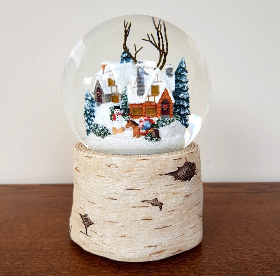 Mutlu Yuvamız Kar Küresi