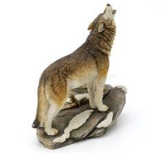 Veronese kurt Biblo ve Yavrusu