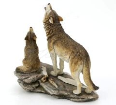 Veronese kurt Biblo ve Yavrusu