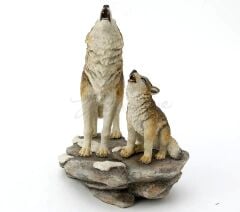 Veronese kurt Biblo ve Yavrusu