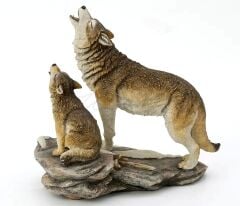 Veronese kurt Biblo ve Yavrusu