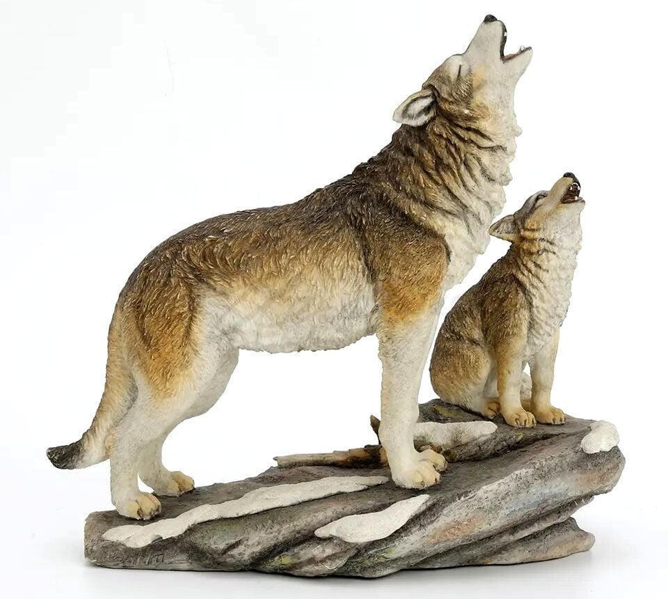 Veronese kurt Biblo ve Yavrusu