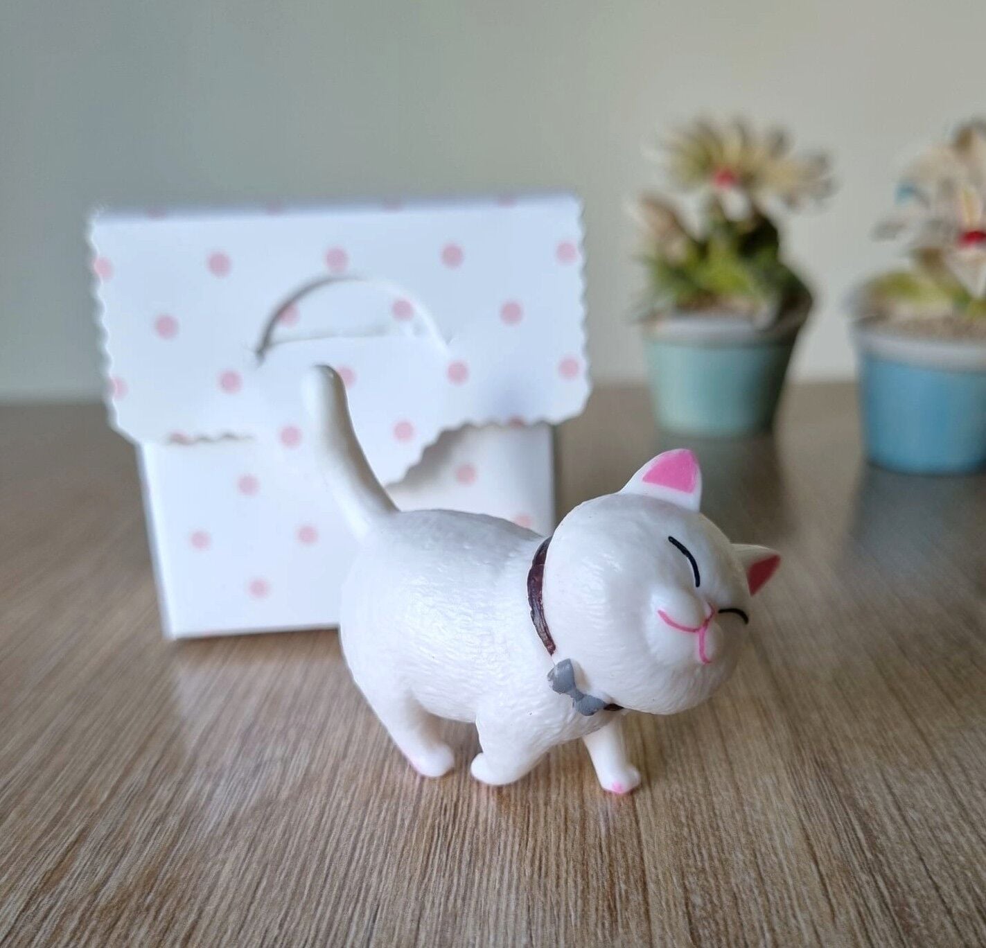 Minyatür Kedi Biblosu