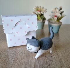 Minyatür Kedi Biblosu