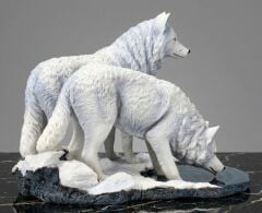 Veronese Beyaz Kurt Biblolar