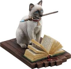 Veronese Sihirbaz Kedi