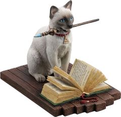 Veronese Sihirbaz Kedi