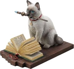 Veronese Sihirbaz Kedi