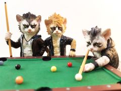 Veronese Bilardocu Kediler