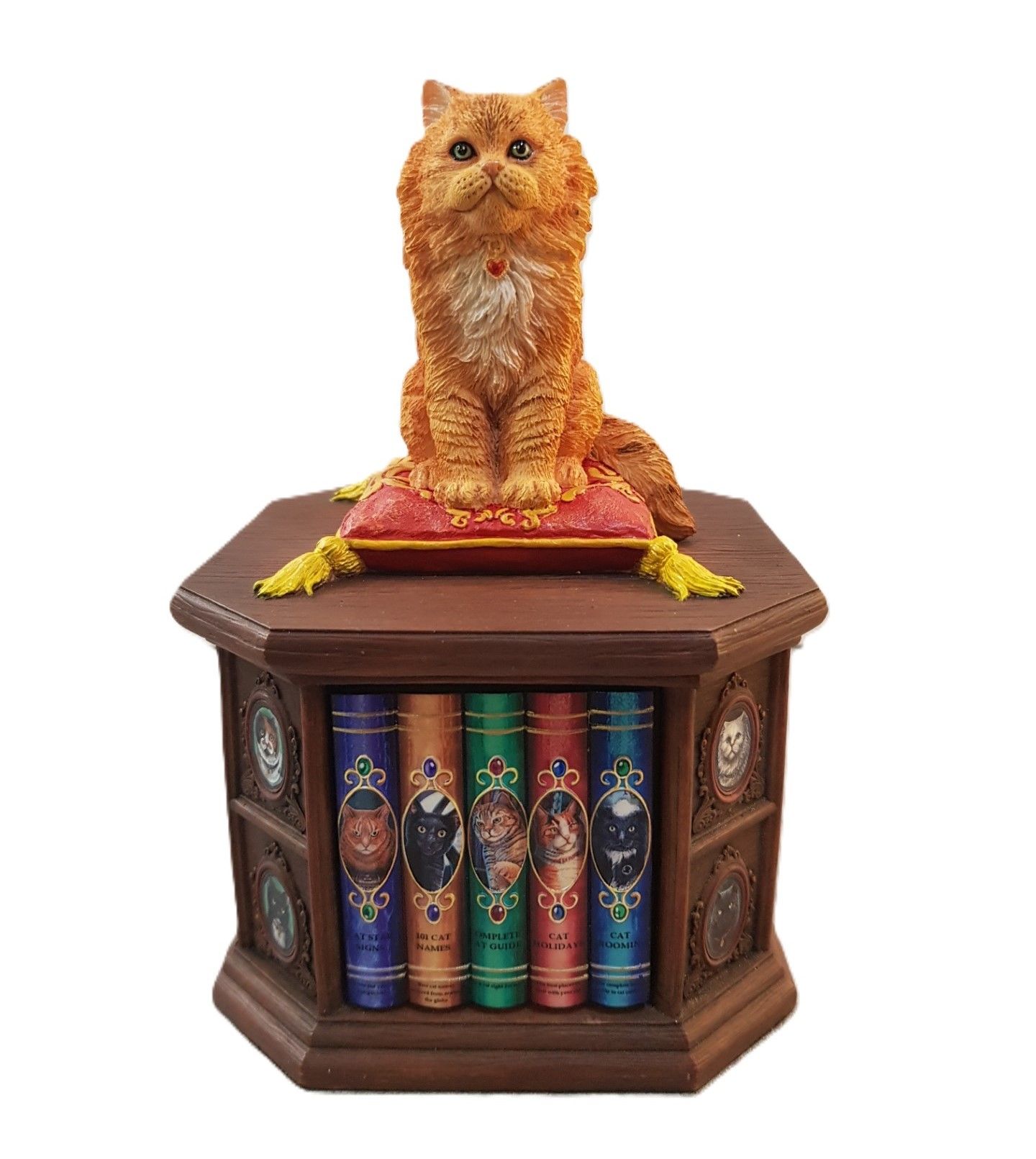 Veronese Bilgin Kedi Biblo/Kutu