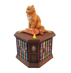 Veronese Bilgin Kedi Biblo/Kutu