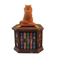 Veronese Bilgin Kedi Biblo/Kutu