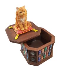Veronese Bilgin Kedi Biblo/Kutu