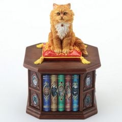 Veronese Bilgin Kedi