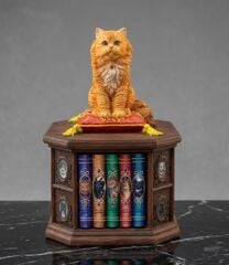 Veronese Bilgin Kedi Biblo/Kutu