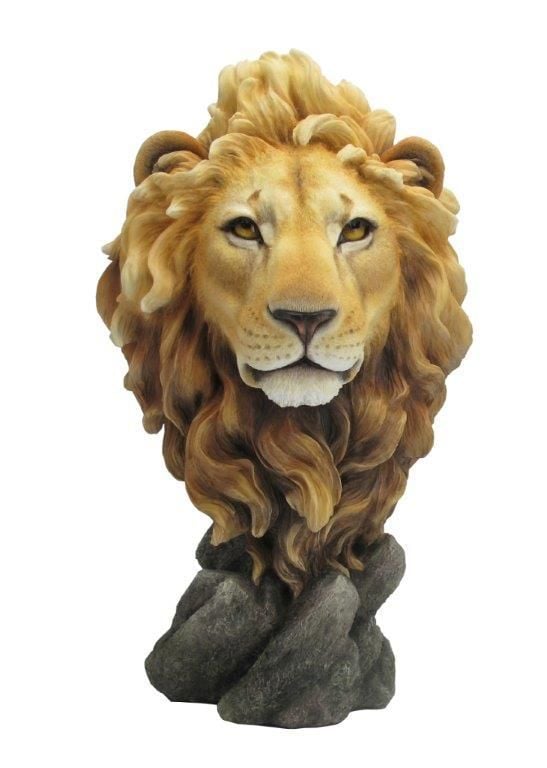 Aslan Kafası Biblo