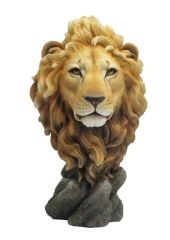 Aslan Kafası Biblo