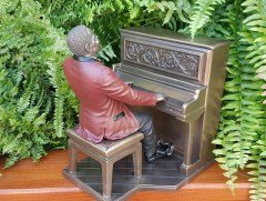 Piyano Çalan Müzisyen