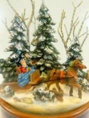 Ormanda Kızak Kar Küresi