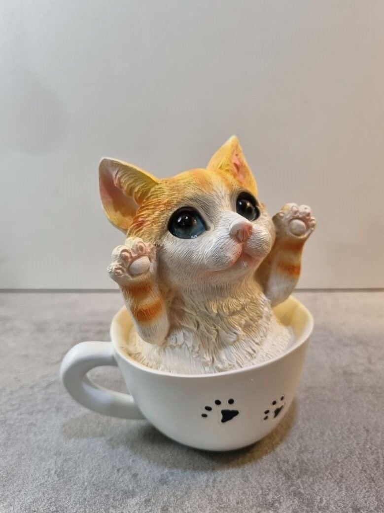 Fincanda Kedi Biblo Kumbara