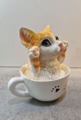 Fincanda Kedi Biblo Kumbara